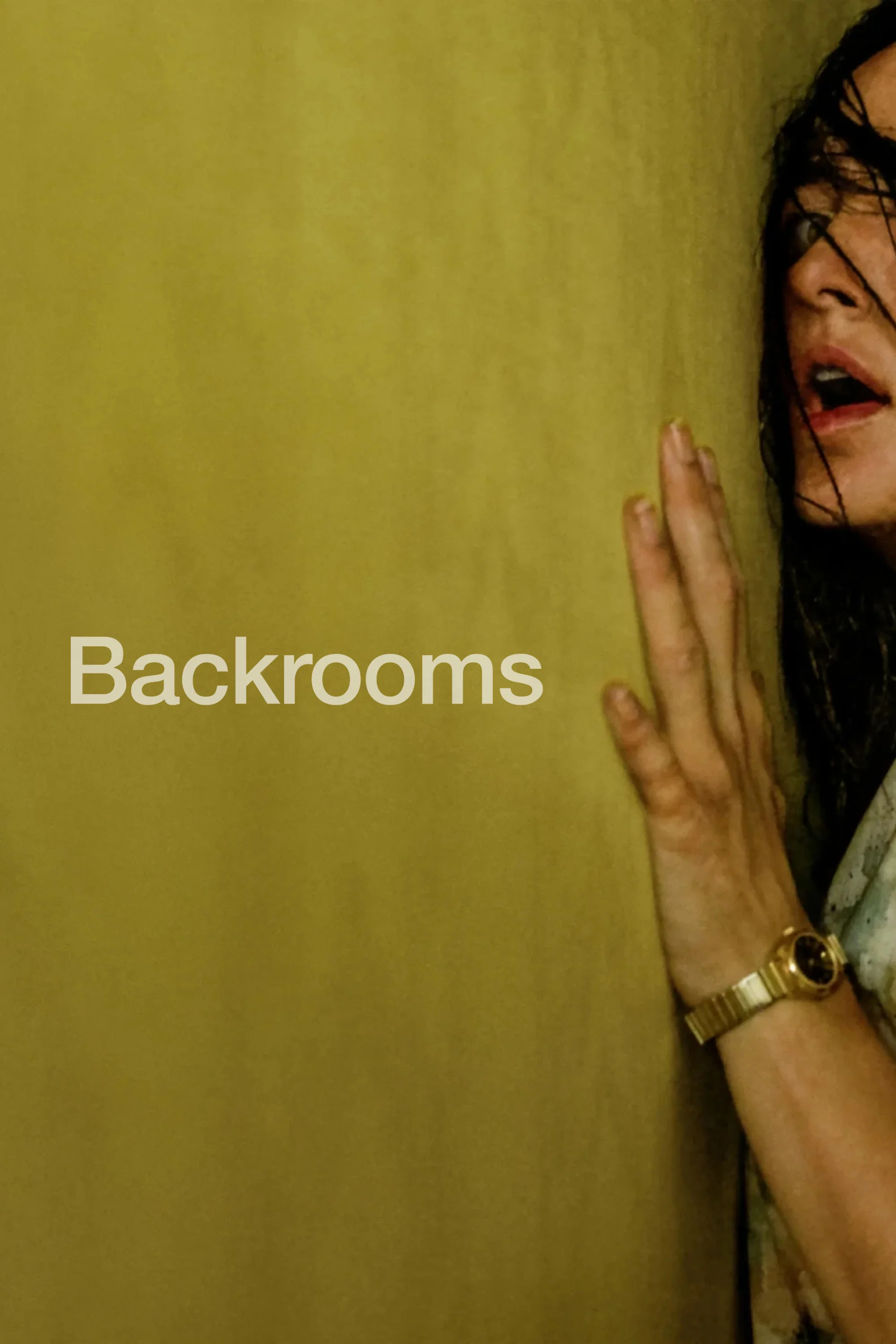 Foto Film Backrooms: Everything Must Go - Extended Version
