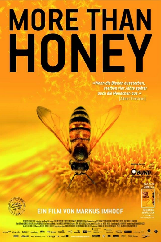 Poster More Than Honey